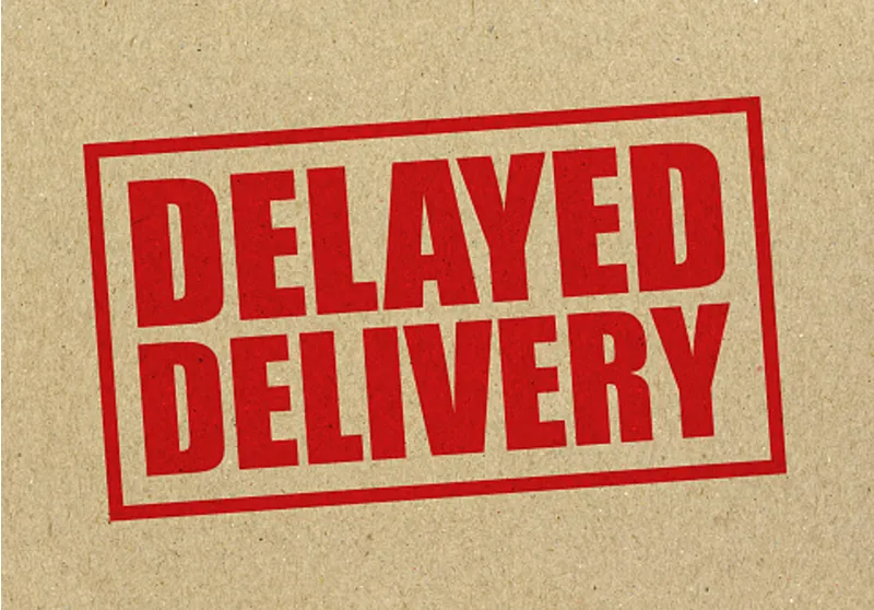 Item with delivery delay